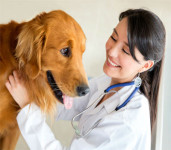 Satya Pet & Vet Needs-2