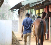 Hyderabad Polo & Riding Club-3