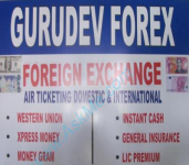 Gurudev Forex-3