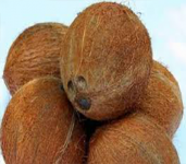 Sri Lakshmi Durga Coconut Store-2