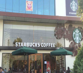 Star Bucks-1